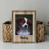 Custom Portraits Using Pet Photo on Wood Personalized Dog Portraits Cat Portraits Custom Dog Portraits Custom Pet Memorial Art