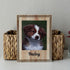Custom Portraits Using Pet Photo on Wood Personalized Dog Portraits Cat Portraits Custom Dog Portraits Custom Pet Memorial Art