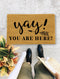 Funny Doormat, Yay You Are Here door mat, Welcome Door mat - 65