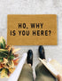 Ho, Why is you Here?., Closing Gift, Funny Door mat, New home gift, Wedding gift - 6